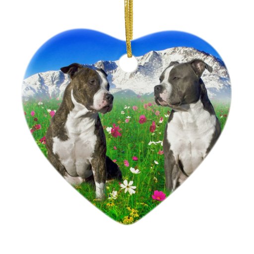 brindle blue staffordshire pit bull dogs double sided our first home personalized christmas ornaments