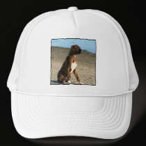 Brindle Boxer Dog hat hats