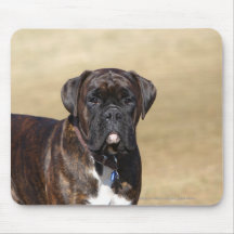 Brindle Boxer Dog Standing Mousepad