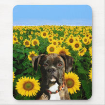 Brindle boxer in Sunflowers mousepad
