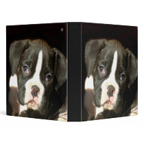 Brindle boxer puppy binder