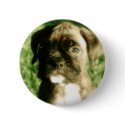 Brindle boxer puppy button by ritmoboxer Brindle boxer puppy button