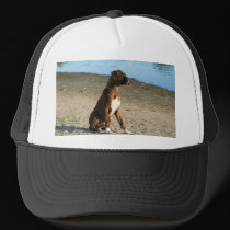 Brindle Boxer Puppy hat hats
