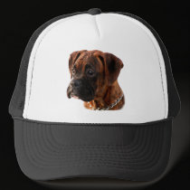 Brindle Boxer puppy hat by ritmoboxer Brindle Boxer puppy hat