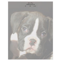 Brindle boxer puppy letterhead