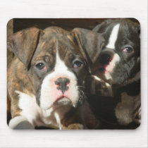 Brindle boxer pups mousepads by ritmoboxer Brindle boxer pups mousepads