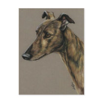"Brindle Greyhound" Dog Art Postcard by CharlottesWebArt "Brindle Greyhound" Dog Art Postcard
