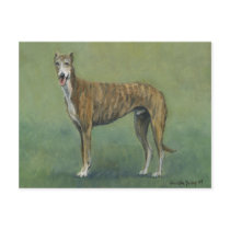 "Brindle Greyhound" Dog Art Postcard by CharlottesWebArt "Brindle Greyhound" Dog Art Postcard