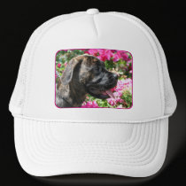 Brindle Mastiff Puppy cap hats