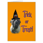 Brindle Mastiff Trick Card
