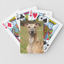 Brindle Whippet Playing Cards