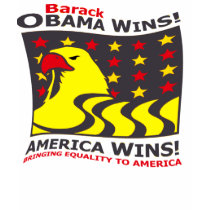 Bring Eqality to America . t-shirts