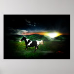 Bring Good News (Horse Art Poster)
