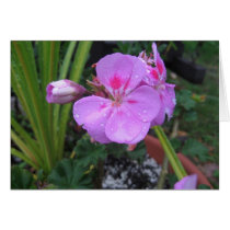 Bring on the Rain - Notecard cards