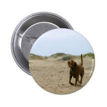 Bring The Ball Pinback Button