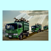 Bringing In The Seahorses- Poster posters