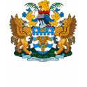 Brisbane Coat of Arms T-shirt