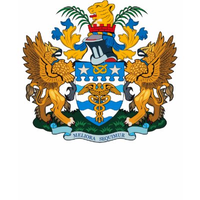 Brisbane Coat of Arms T-shirt by FlagTshirts