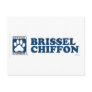 Brissel Chiffon Blue Post Card