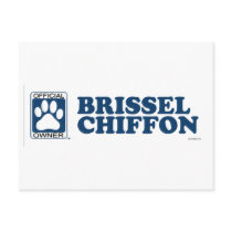 Brissel Chiffon Blue postcards
