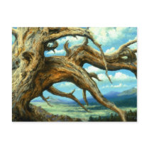 Bristlecone Pine Postcard