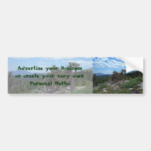 Bristlecone Pine Tree, Mount Evans, Colorado Bumper Sticker