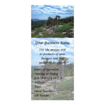 Bristlecone Pine Tree, Mount Evans, Colorado Custom Rack Cards