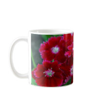British Columbia flower mugs