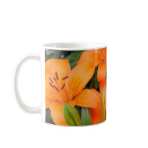 British Columbia flowers mugs