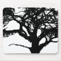 British Oak in St. James' Park mousepads