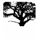 British Oak t-shirts