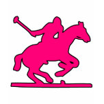 sports, polo, horse, game, ponies, helmet, whip,