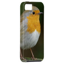 British Robin Redbreast iPhone 5 Cover