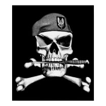 British SAS Skull posters
