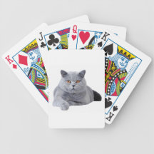 British shorthair cat poker deck