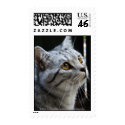 British Shorthair Cat postage postage
