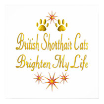 British Shorthair Cats Brighten My Life posters by MyFavoriteCat British Shorthair Cats Brighten My Life posters