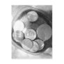 British Silver Coins Post Cards