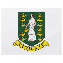 British Virgin Islands Coat of Arms Personalized Flyer