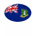 British Virgin Islands Gnarly Flag T-Shirt