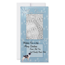 Brittany Boys Rock !! Picture Card