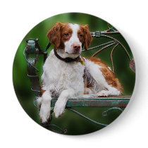 Brittany buttons by helen2000g Brittany buttons