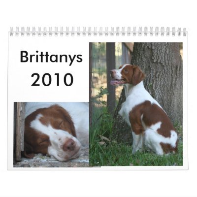Brittany Calendar 2010 by elaineinalaska
