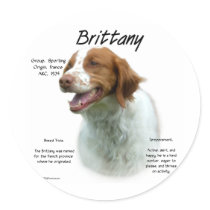 Brittany History Design Round Stickers