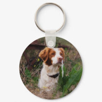 Brittany keychains by helen2000g Brittany keychains
