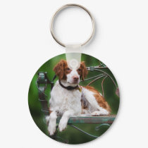 Brittany keychains by helen2000g Brittany keychains
