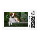 Brittany Postage Stamp