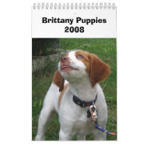 Brittany Puppies 2008 calendars by elaineinalaska Brittany Puppies 2008 calendars