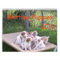 Brittany Puppies 2010 calendars