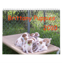 Brittany Puppies 2010 calendars by elaineinalaska Brittany Puppies 2010 calendars
